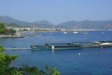 Marmaris’e Niçin Gitmeli? Marmaris’te Gezilecek Yerler ve Marmaris’e Ulaşım