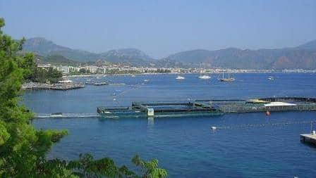 Marmaris’e Niçin Gitmeli? Marmaris’te Gezilecek Yerler ve Marmaris’e Ulaşım