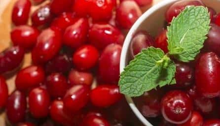 Kızılcık Nedir? Kızılcık Meyvesi ve Kızılcık Suyunun Faydaları