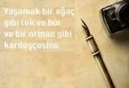 Şiir Nedir, Nasıl Yazılır ve Şiir Türleri Nelerdir?