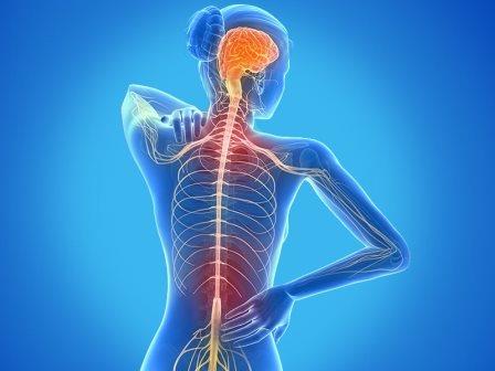 MS (Multpl Skleroz) Nedir? MS Hastalığı Belirtileri ve Tedavi