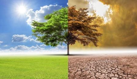 Küresel Isınma Nedir? Nedenleri ve Sonuçları