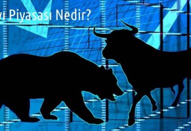 Finansal Piyasalarda Ayı Piyasası Nedir?