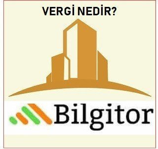 Vergi Nedir? Verginin Amacı, Türleri ve Tahakkuku