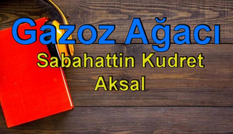 Erkan Avcı Kimdir?