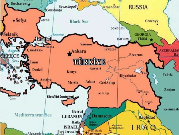 Aronia Meyvesinin Faydası Ve Tüketimi