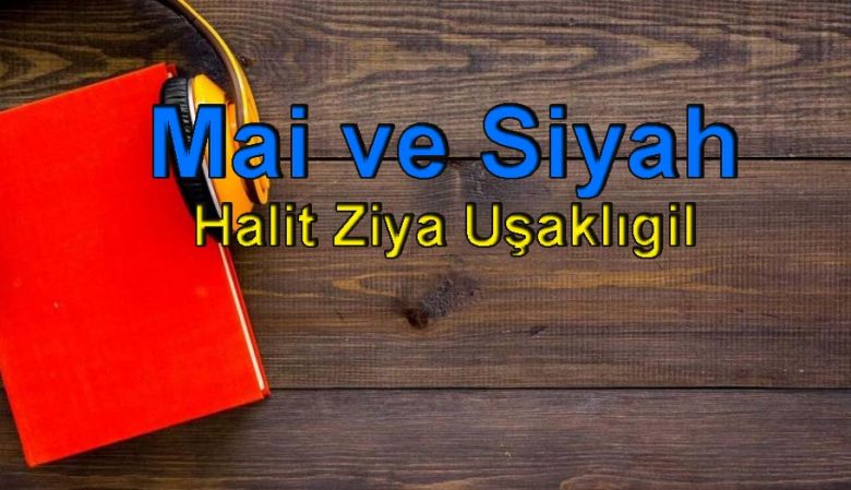 Goji berry çayı nasıl hazırlanır? Faydaları nelerdir? Ne kadar kilo verdirir?