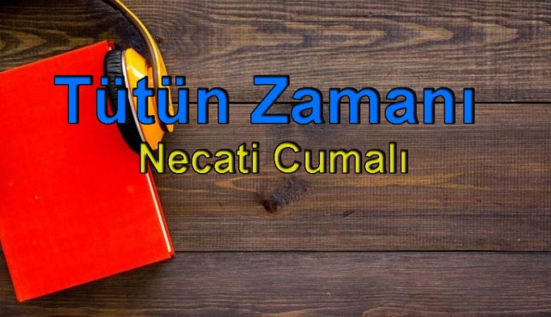 Diş macunları sağlığa zararlı mı?