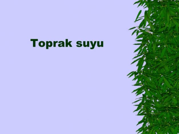 Kibrit Nasıl İcat Edilmiştir? Kibrit Hakkında Her Şey
