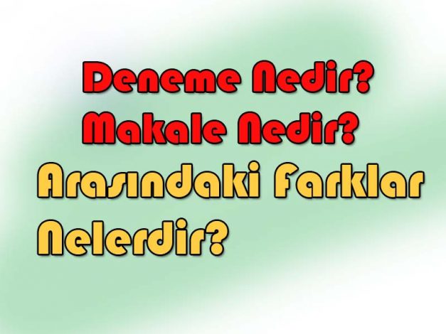 Deneme İle Makale Nedir? Arasındaki Farklar Nelerdir?
