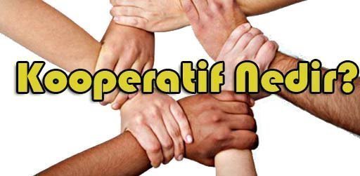 Kooperatif Nedir? Kuruluş, Organları ve Çeşitleri