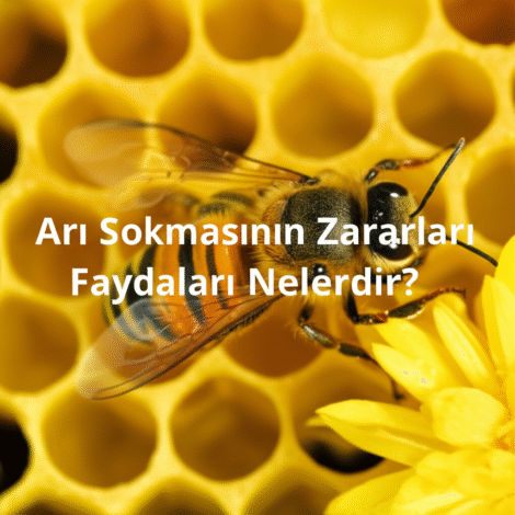 Arı Sokmasının Zararları Faydaları Nelerdir?